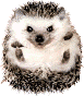 Ejik